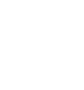 Globe icon